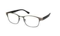 Leesbril Readr. Buddy +2.50 Zilver G52300
