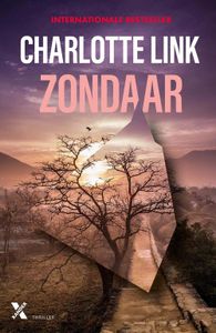 Zondaar - Charlotte Link - ebook