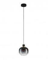 EGLO Oilella hangende plafondverlichting Flexibele montage E27 40 W Zwart, Grijs, Transparant