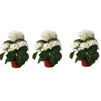 Mooie kunstplant met bloemen - 3x stuks - Hortensia - wit - H36 cm - Dia 10 cm