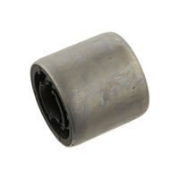 Draagarmlager 30919
