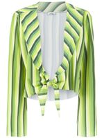 Amir Slama striped cropped top - Vert - thumbnail