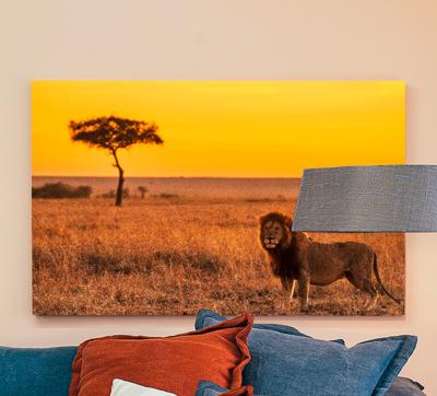 Andere dieren schilderij op canvas Wilde savanneboom in de avond