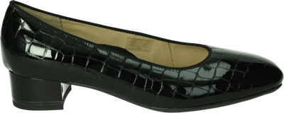 Ara 1211838 - alle