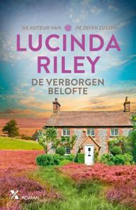 De verborgen belofte (Paperback)