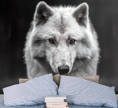 Dieren fotobehang Witte wolf