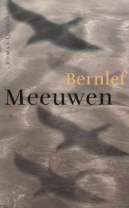 Meeuwen - Bernlef - ebook