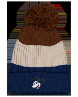 Beanie - Multi-color Beanie - Multi-color