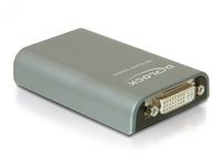 DeLOCK 61787 kabeladapter/verloopstukje USB 2.0 DVI Grijs