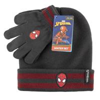 Spiderman Winterset
