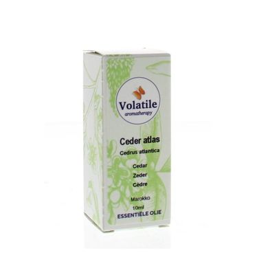 Ceder atlas