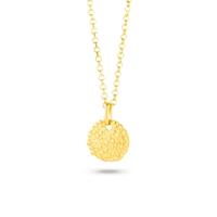Ketting Radiant RY000028 50 cm
