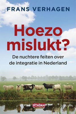 Hoezo mislukt? - Frans Verhagen - ebook