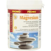 Fytostar Magnesium chew kauwtabletten Fytostar Magnesium chew kauwtabletten