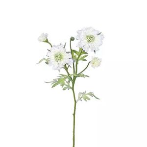 Scabiosa Tak Cream 60 cm kunstplant - Buitengewoon de Boet