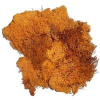 Decoratie nep mos - 3x zakjes - oranje - 50 gram - Hobby/knutselen - herfst/kerst thema decoreren