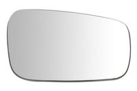 Spiegelglas, buitenspiegel 6102021292558P