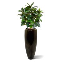 Elastica Robusta kunstplant 90cm - FR - brandvertragend - thumbnail