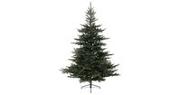 Kunstkerstboom Grandis Fir hinged tree dia 162 cm hoogte 240 cm - thumbnail