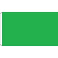 Groene vlag - 150 x 90 cm - decoratie vlag in de kleur groen - polyester - met ophangogen