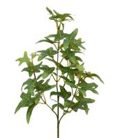 Ster Hedera kunsttak 55cm