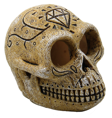Superfish Skull Monkey: Prehistorische Aquariumdecoratie & Schuilplaats - Veilig en Authentiek Design