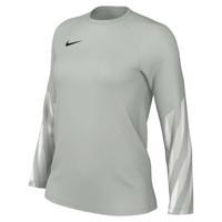 Nike Dri-FIT Park Goalkeeper V Keepersshirt Lange Mouwen Dames Lichtgrijs Zwart