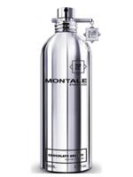 Montale Paris Chocolate Greedy Eau de Parfum 100ml | Unisex Parfum