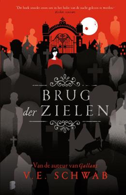 Brug der zielen (Hardback)