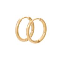 iXXXi Creolen 15mm Goud
