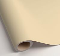 Mat ivoor vinyl stickervel kleuren