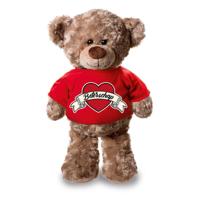 Knuffel teddybeer - beterschap - 24 cm - pluche - met shirt