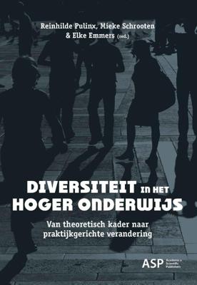 Diversiteit in het hoger onderwijs (Paperback)