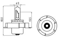 Bosma Lamp 6V-15W P26S halogeen - thumbnail