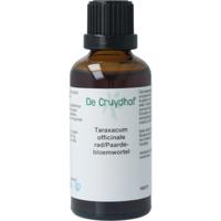 Natura Sanat Taraxacum officinalis rad / paardebloem tinctuur