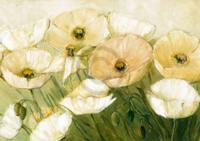 Kunstdruk Elisabeth Krobs - Tender Poppies 29.7x21cm