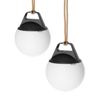 Light 250 (2 pack)