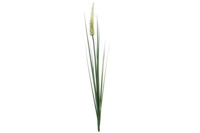 Kunst gras Foxtail crme/groen zijde 110cm