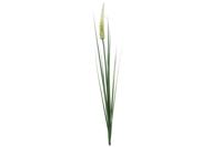 Kunst gras Foxtail crme/groen zijde 110cm