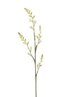 Montbretia spray cream 93 cm kunstplant Emerald - Emerald