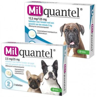 Milquantel ontwormingstabletten voor de hond Hond 5+ kg 4 tabletten