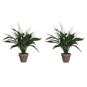 Mica Decorations Kunstplant - 2x stuks - spathiphyllum lepelplant - wit - 50 cm