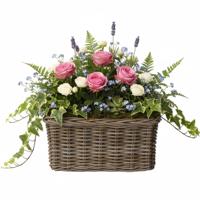 VD Leeden Plantenmand Klassiek - bruin - rechthoek - 40 x 23 x 20 cm - rotan - gevlochten riet