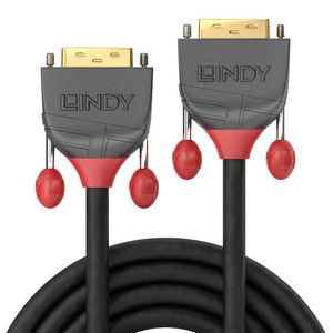 Lindy 36230 DVI kabel 0,5 m DVI-D DVI-I Zwart