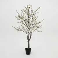 Prunusplant 100x100x180cm wt