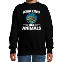 Sweater schildpadden amazing wild animals / dieren trui zwart voor kinderen - thumbnail