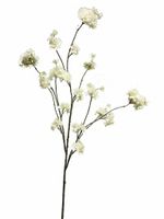 Prunus malaga spray white 126cm