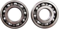 ALL BALLS Racing krukas lagerset crankshaft bearing set ab 24-1059