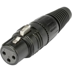 Hicon HI-X3CF-B XLR-connector Bus, recht Aantal polen: 3 Zwart 1 stuk(s)