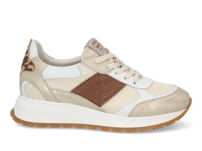 Piedi Nudi Helen 03.01 gold leopard multi bruin maat 41